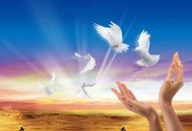 熱烈慶祝我公司網(wǎng)站正式上線(xiàn)！